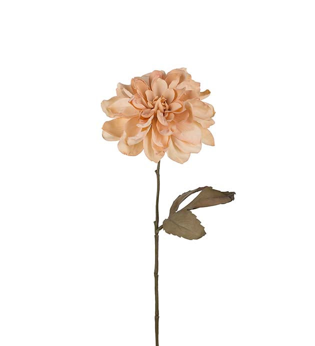 MrPlant_Dahlia_beige_rosa_kunstig_blomst